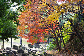 若宮公園・秋の景色