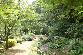 七沢森林公園